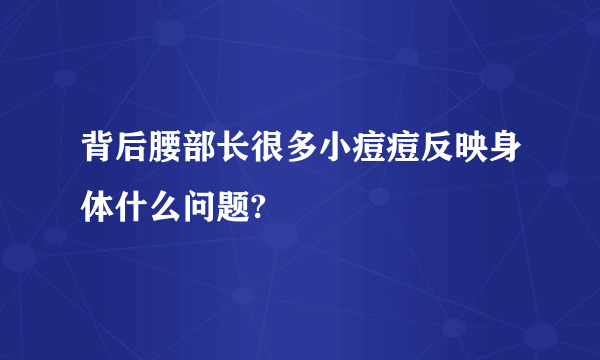 背后腰部长很多小痘痘反映身体什么问题?