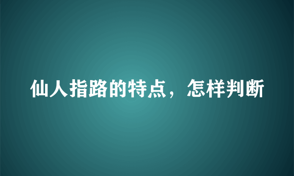 仙人指路的特点，怎样判断