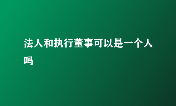 法人和执行董事可以是一个人吗