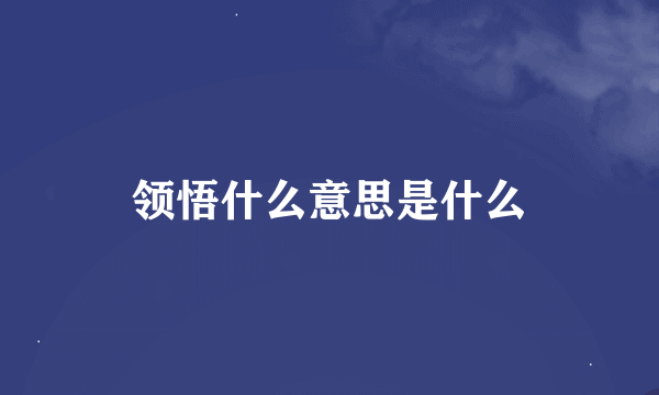 领悟什么意思是什么