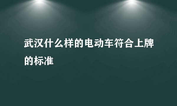 武汉什么样的电动车符合上牌的标准