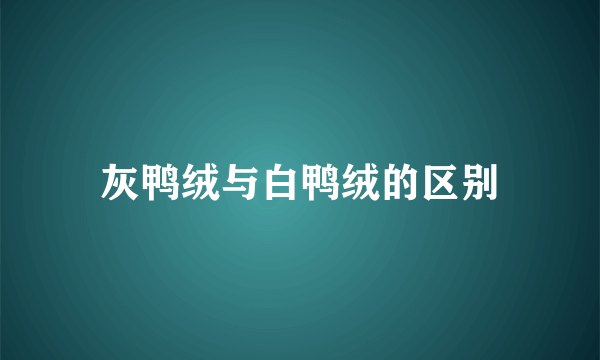 灰鸭绒与白鸭绒的区别