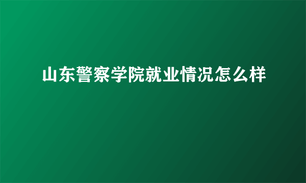 山东警察学院就业情况怎么样