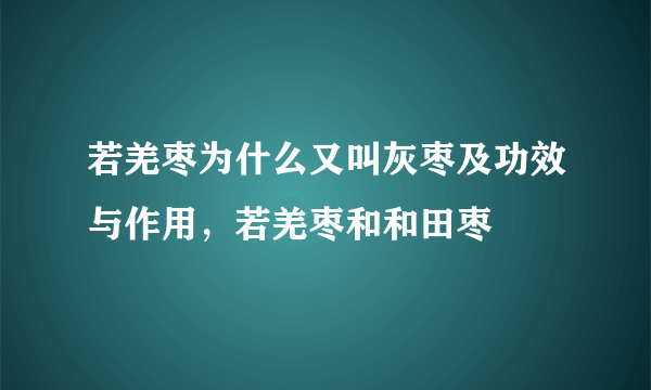 若羌枣为什么又叫灰枣及功效与作用，若羌枣和和田枣