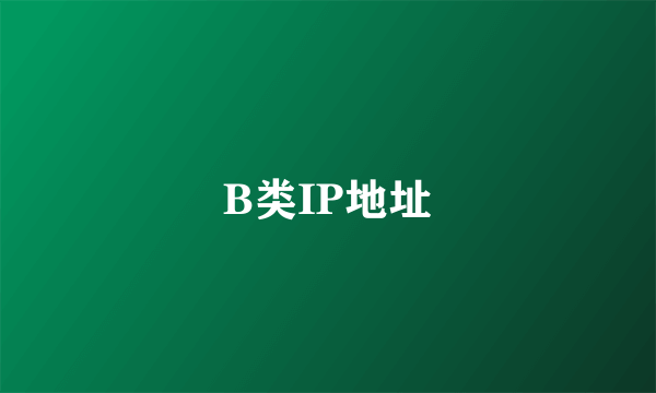 B类IP地址