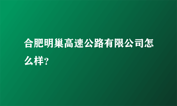 合肥明巢高速公路有限公司怎么样？