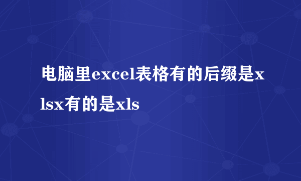 电脑里excel表格有的后缀是xlsx有的是xls