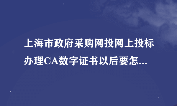 上海市政府采购网投网上投标办理CA数字证书以后要怎么投标啊？