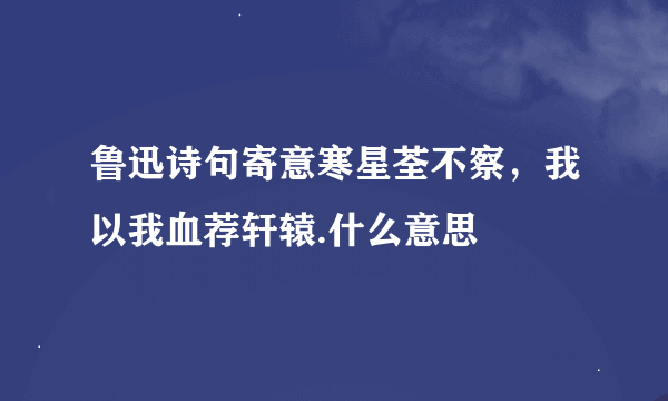 鲁迅诗句寄意寒星荃不察，我以我血荐轩辕.什么意思