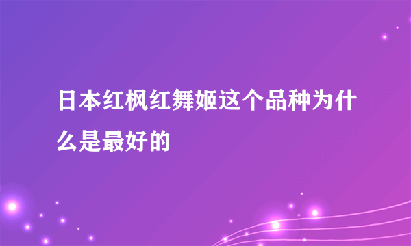 日本红枫红舞姬这个品种为什么是最好的