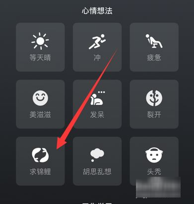 微信上求锦鲤是什么意思