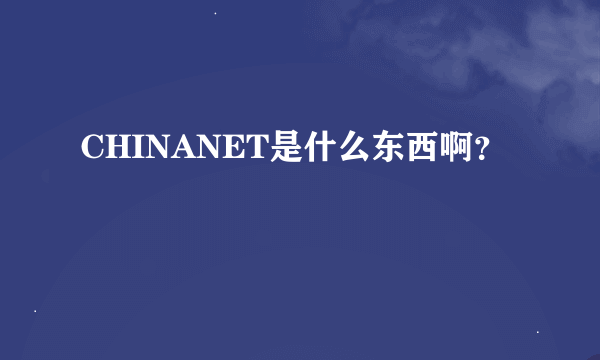 CHINANET是什么东西啊？