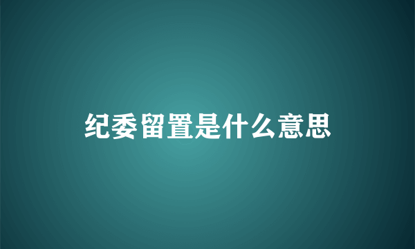 纪委留置是什么意思