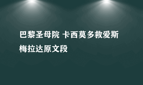 巴黎圣母院 卡西莫多救爱斯梅拉达原文段