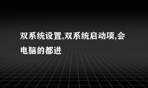 双系统设置,双系统启动项,会电脑的都进