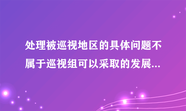 处理被巡视地区的具体问题不属于巡视组可以采取的发展工作的方式