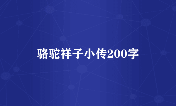 骆驼祥子小传200字