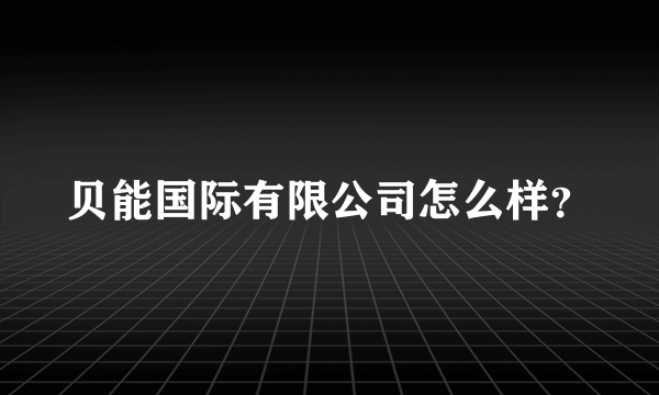 贝能国际有限公司怎么样？