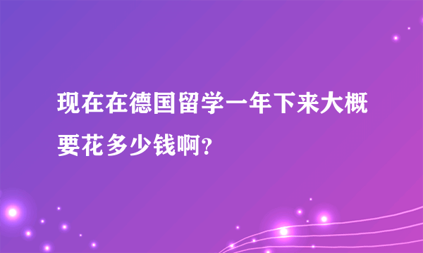 现在在德国留学一年下来大概要花多少钱啊？