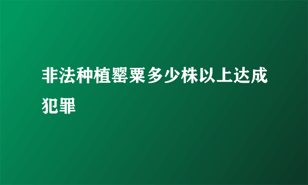 非法种植罂粟多少株以上达成犯罪