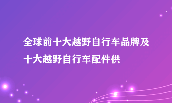 全球前十大越野自行车品牌及十大越野自行车配件供