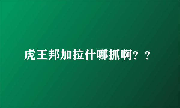 虎王邦加拉什哪抓啊？？