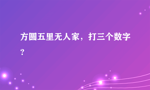 方圆五里无人家，打三个数字？