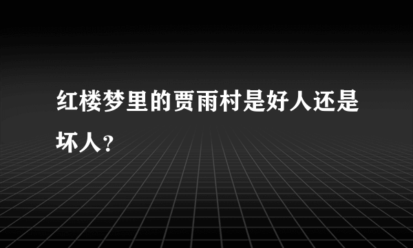 红楼梦里的贾雨村是好人还是坏人？