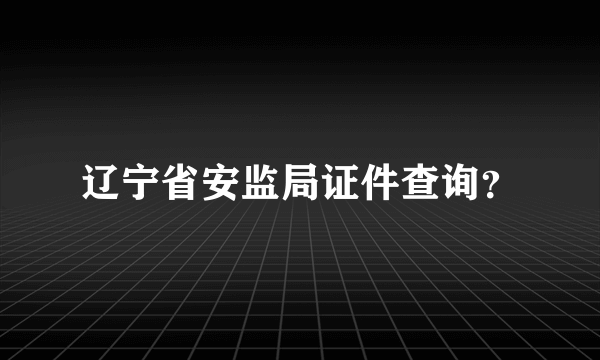 辽宁省安监局证件查询？