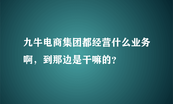 九牛电商集团都经营什么业务啊，到那边是干嘛的？