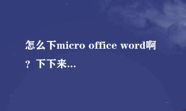 怎么下micro office word啊？下下来也是压缩包，还老是什么什么错误？有免费的网址吗