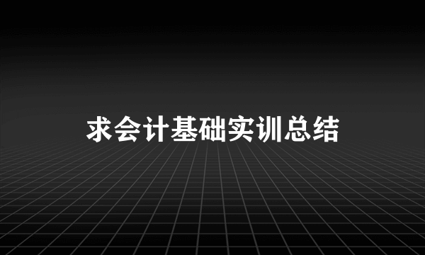 求会计基础实训总结