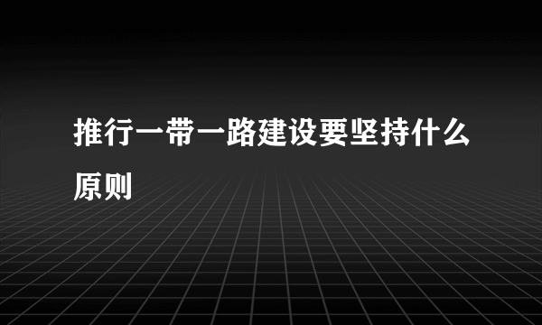 推行一带一路建设要坚持什么原则