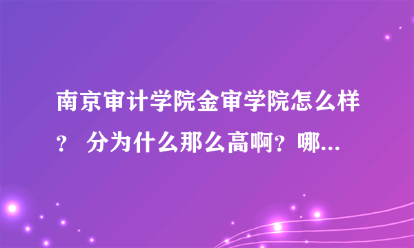 南京审计学院金审学院怎么样？ 分为什么那么高啊？哪个专业最好？