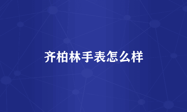 齐柏林手表怎么样