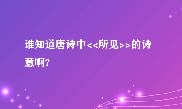 谁知道唐诗中<<所见>>的诗意啊?