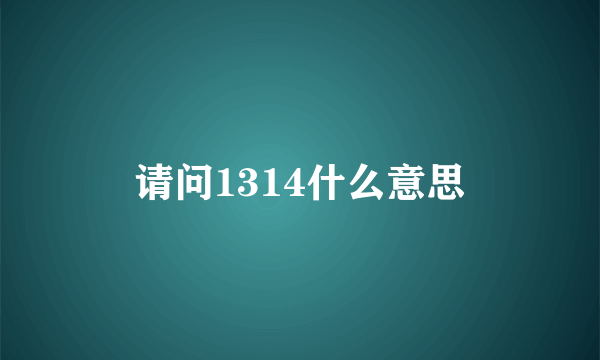 请问1314什么意思