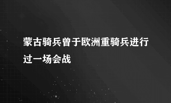 蒙古骑兵曾于欧洲重骑兵进行过一场会战