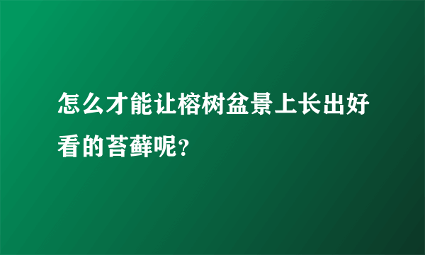 怎么才能让榕树盆景上长出好看的苔藓呢？